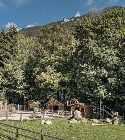 Kind mit Esel Kinderbauernhof Hotel Bachmanngut Wolfgangsee