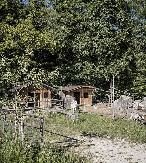 Children’s farm in the family hotel Das Bachmanngut at Wolfgangsee