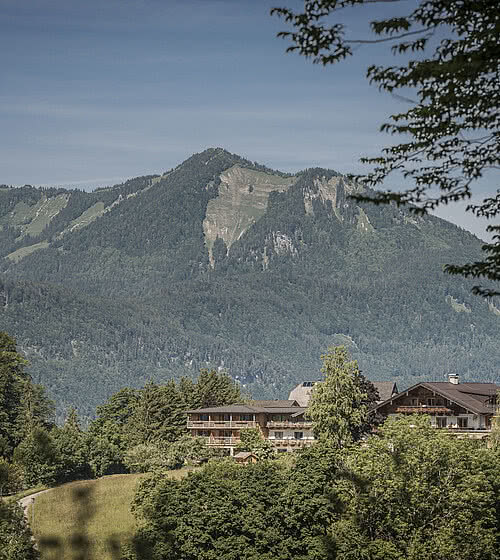Nature garden at the Hotel Bachmanngut in the Salzkammergut
