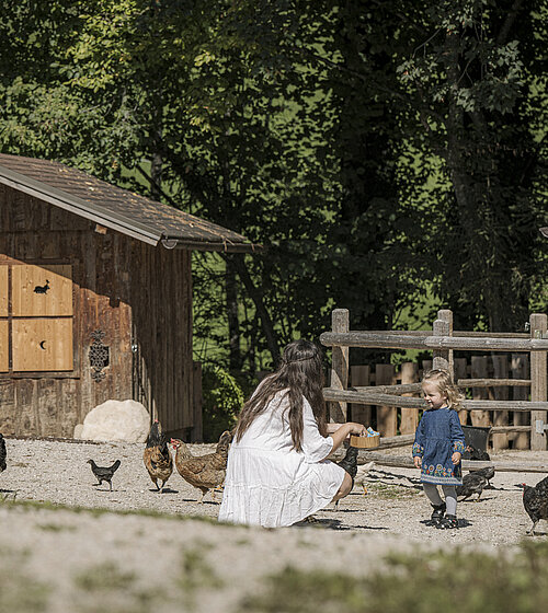 Kinderbauernhof Hotel Bachmanngut Wolfgangsee