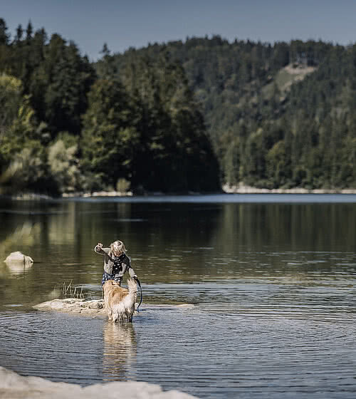 Holiday with your dog at Wolfgangsee in the Salzkammergut