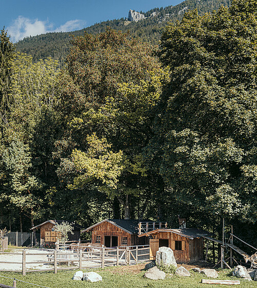 Kinderbauernhof Hotel Bachmanngut Wolfgangsee