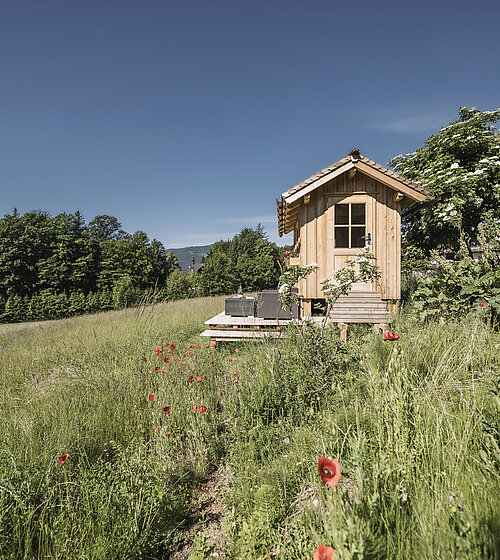 Naturgarten mit Holzhütte beim Hotel Bachmanngut