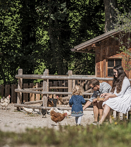 Kinderbauernhof Hotel Bachmanngut Wolfgangsee