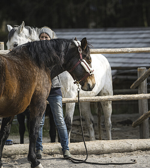 Frau steht mit zwei Pferden im Reitstall des Hotels Bachmanngut