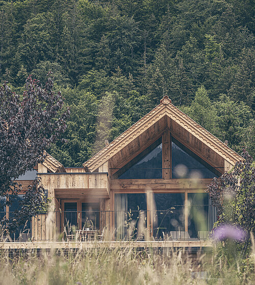 chalet am wolfgangsee im bachmanngut 