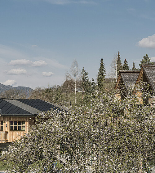 Blühender Baum im Frühling im Hintergrund das Hotel Bachmanngut und die Chalets am Wolfgangsee