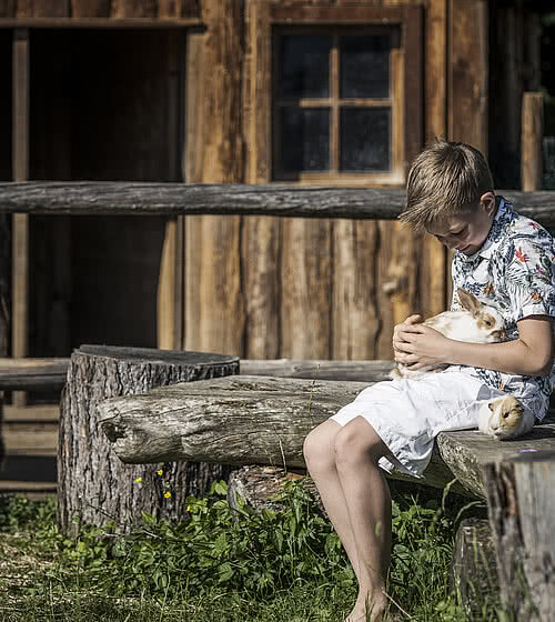 Children’s farm in the family hotel Das Bachmanngut at Wolfgangsee
