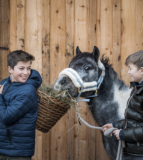 Kinder beim Füttern der Ponys beim 4 Sterne Hotel Bachmanngut am Wolfgangsee