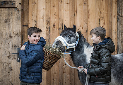 Kinder beim Füttern der Ponys beim 4 Sterne Hotel Bachmanngut am Wolfgangsee